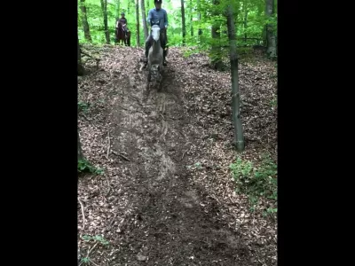 Konji za terensko jahanje... pasmine konja