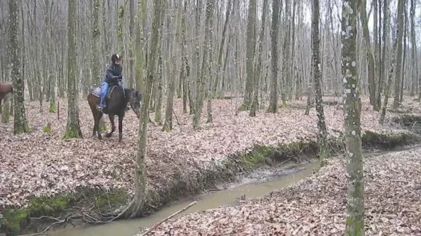 Riding without a leash, only with blue leading strings