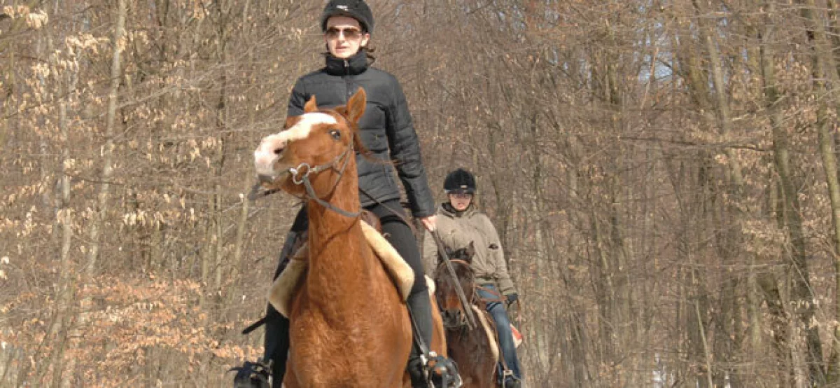 Horseback riding club Geronimo - riding in the round pen